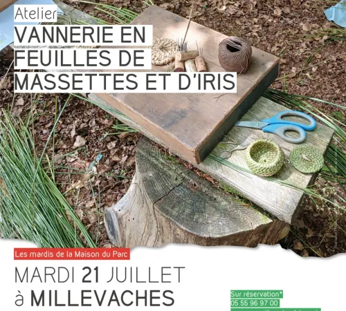 Atelier vannerie en feuilles de massettes et d'iris