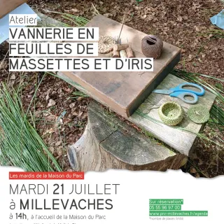 Atelier vannerie en feuilles de massettes et d'iris
