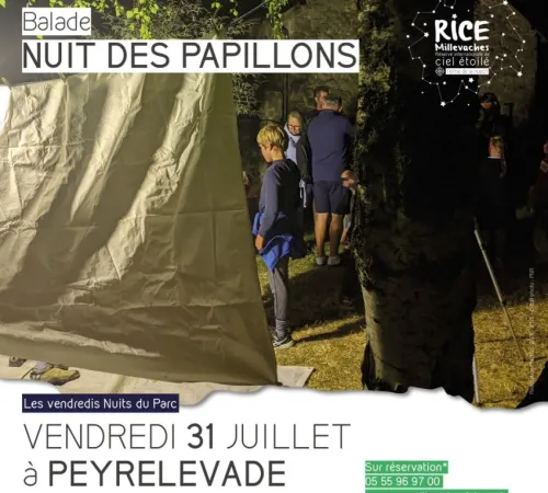Nuit des papillons