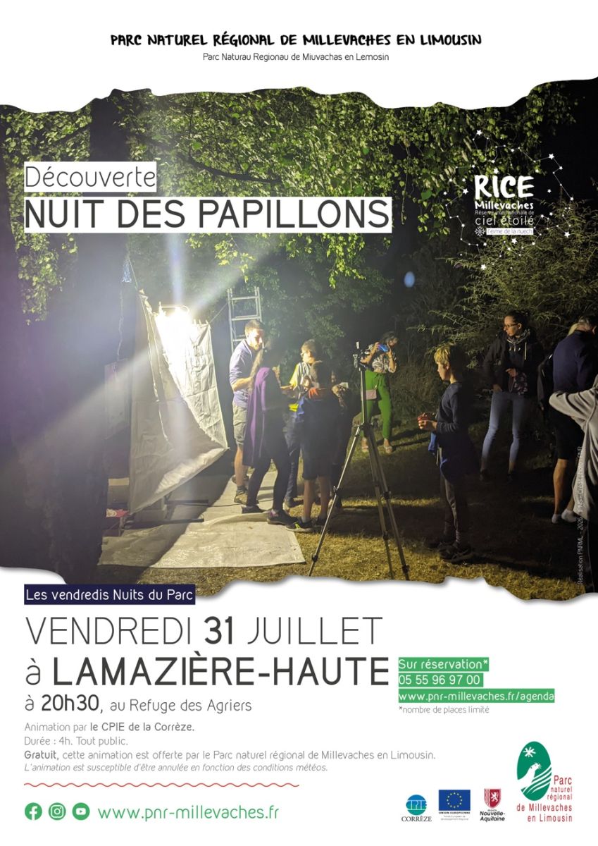 Nuit des papillons