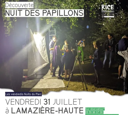 Nuit des papillons