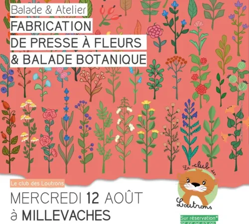Atelier fabrication de presse à fleurs et balade botanique