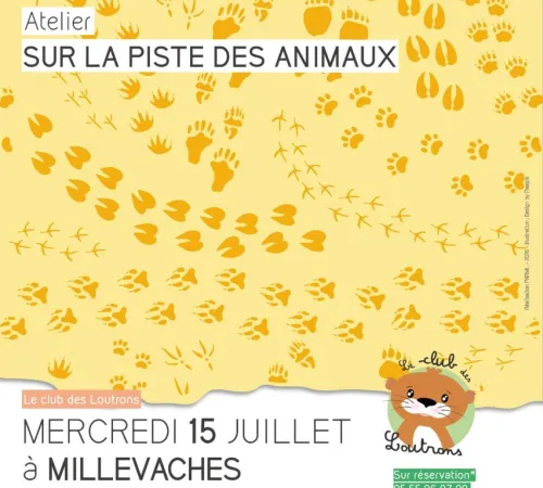 Atelier sur la piste des animaux