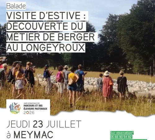 Visite d'estive : découverte du métier de berger.e au Longeyroux