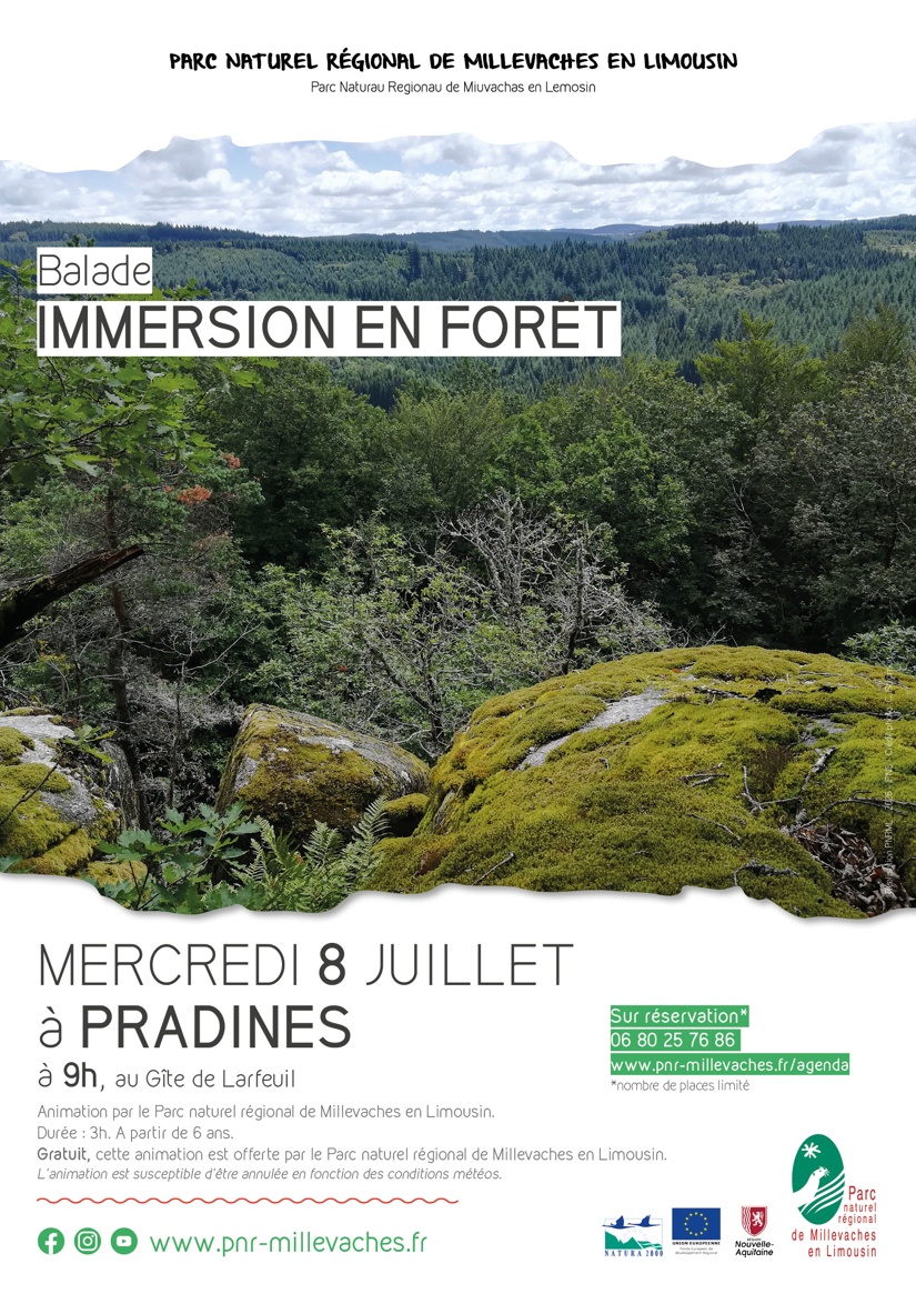 Immersion en forêt - Crédit: © PNRML