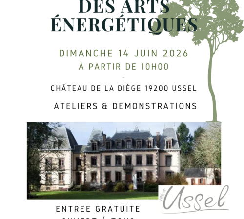 10ème Journée des Arts Enérgétiques