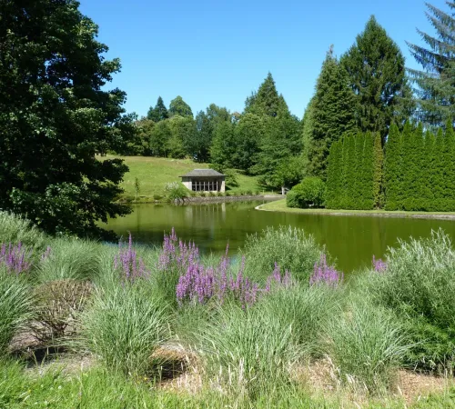 Aventuriers du parc, insectes et oiseaux à la loupe