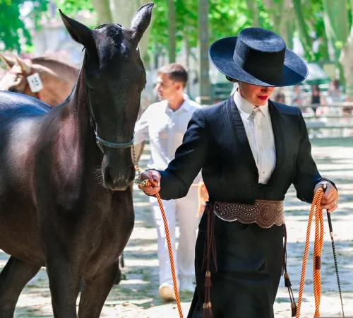 Spectacle équestre (Jardins de la Guierle)