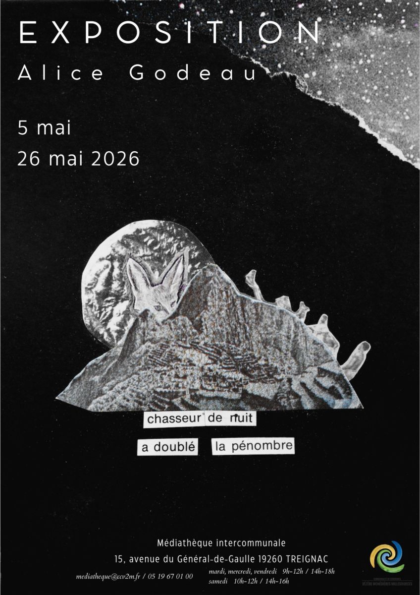 Médiathèque : Exposition Alice Godeau