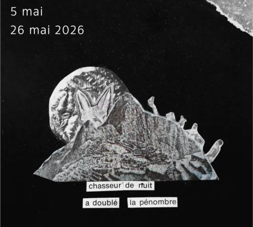 Médiathèque : Exposition Alice Godeau