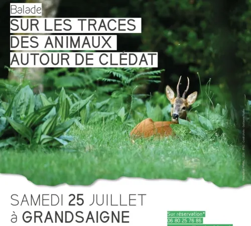 Les Pastorales de Clédat : Sur les traces des animaux autour de Clédat