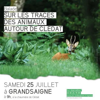 Les Pastorales de Clédat : Sur les traces des animaux autour de Clédat