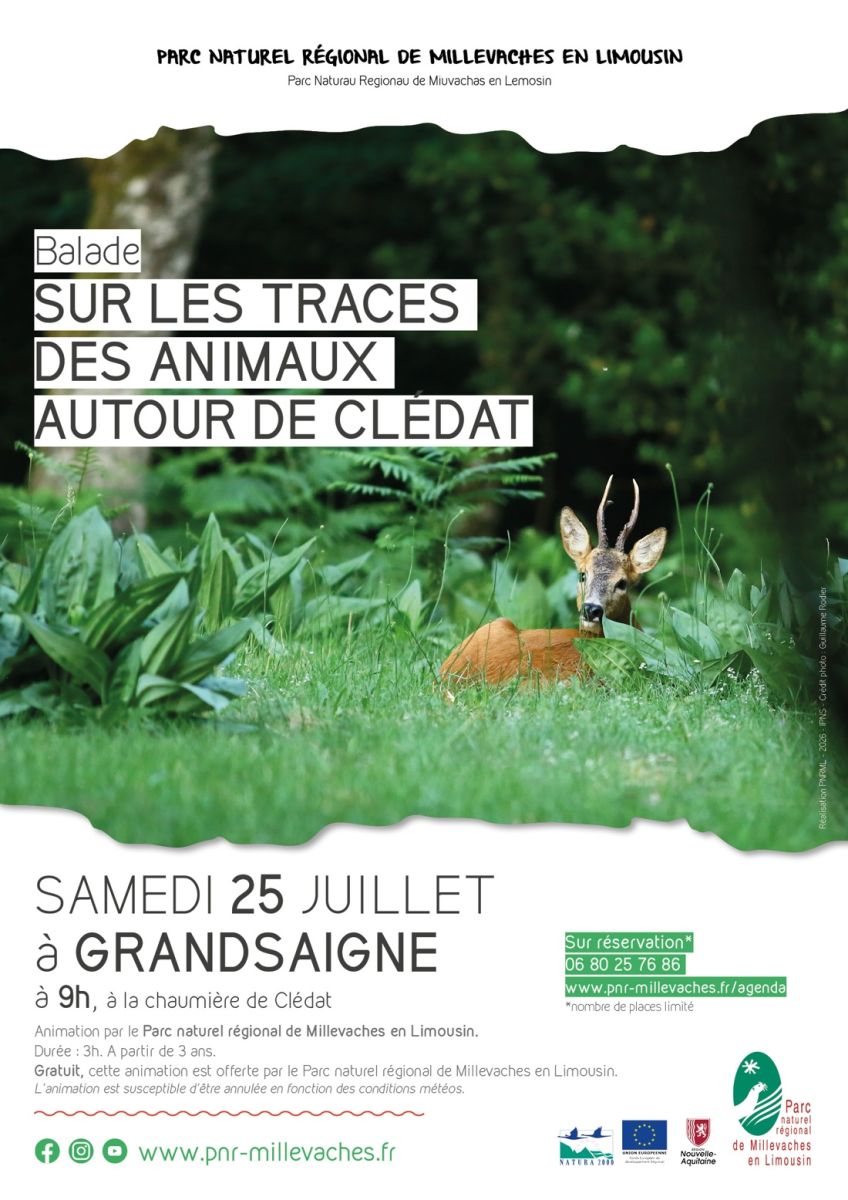 Sur les traces des animaux autour de Clédat