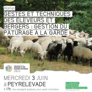Gestes et techniques des éleveurs et bergers : gestion du pâturage à la garde