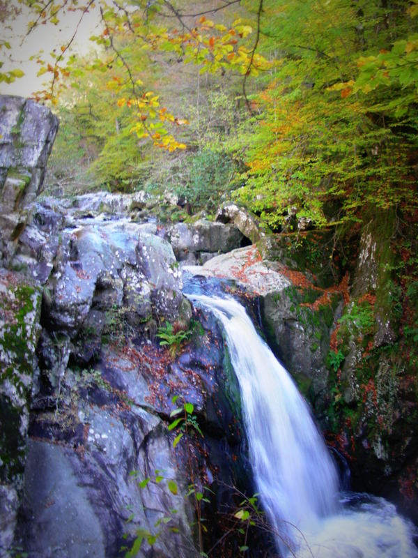 Sortie découverte : vallée de la Vézère, en am ...