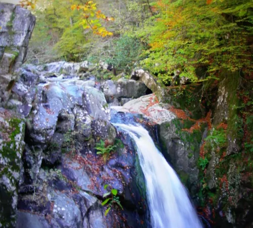 Sortie découverte : vallée de la Vézère, en amont du village de Treignac