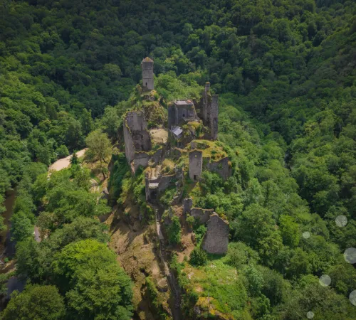 Les Nuits des Forêts en Vallée de la Dordogne Corrézienne