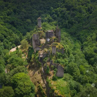 Les Nuits des Forêts en Vallée de la Dordogne Corrézienne