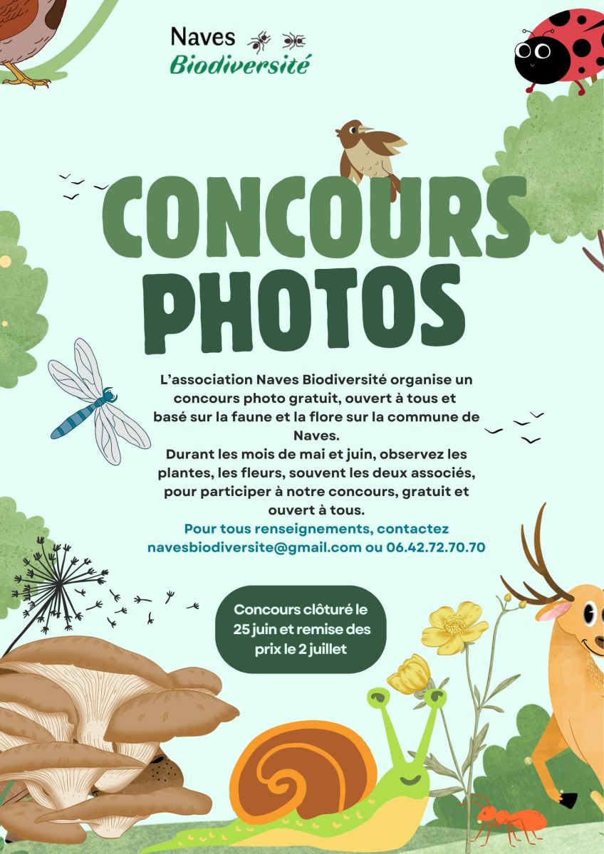 Concours photo