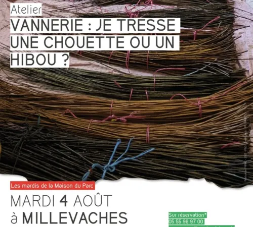Atelier je tresse une chouette ou un hibou?