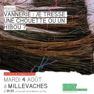 Atelier je tresse une chouette ou un hibou?
