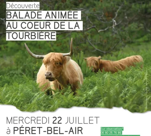 Balade animée au coeur de la tourbière
