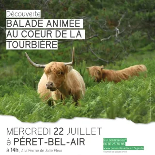 Balade animée au coeur de la tourbière