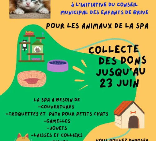 Collecte solidaire pour les animaux de la SPA