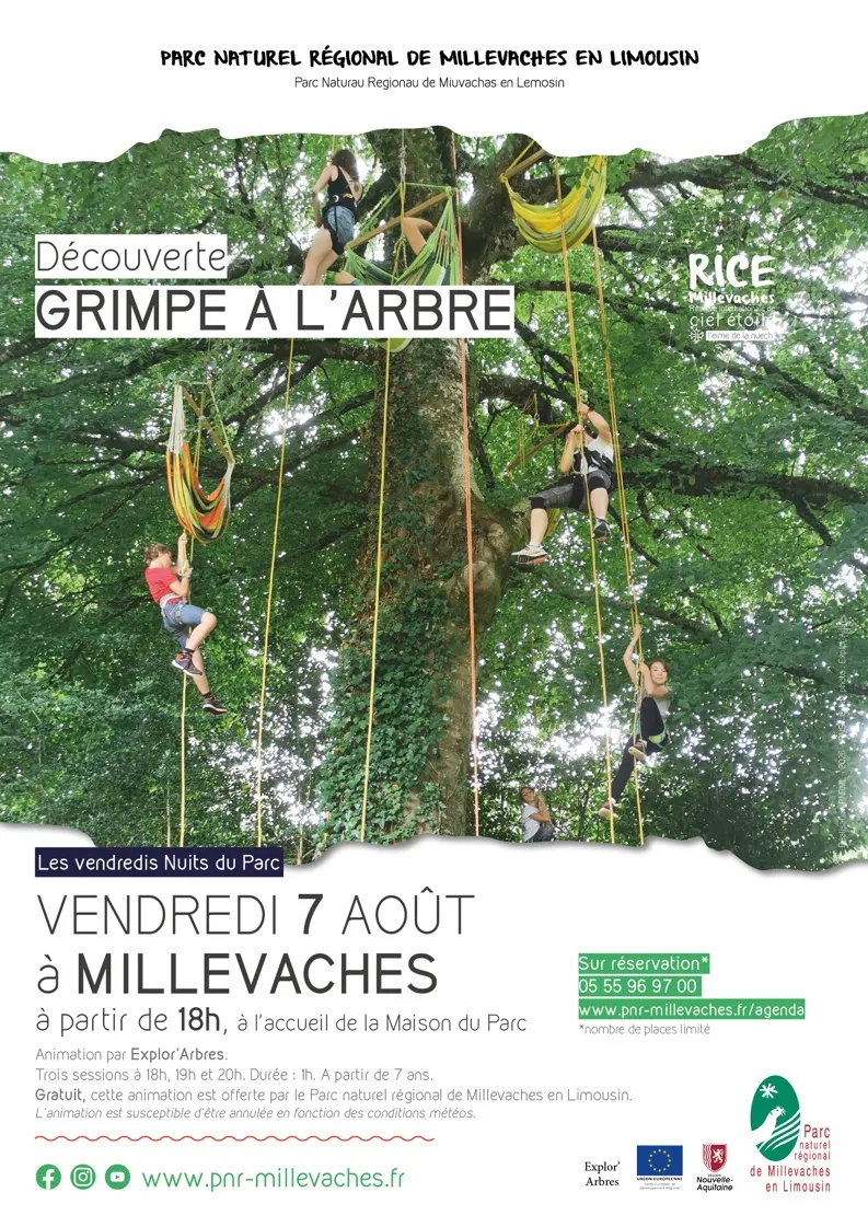 Grimpe d'arbre - Crédit: https://www.pnr-millevaches.fr/