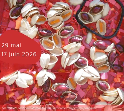 Médiathèque : Exposition Maëlle Huguen
