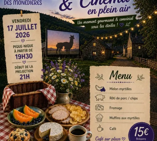 Paniers Pique-Nique et Cinéma