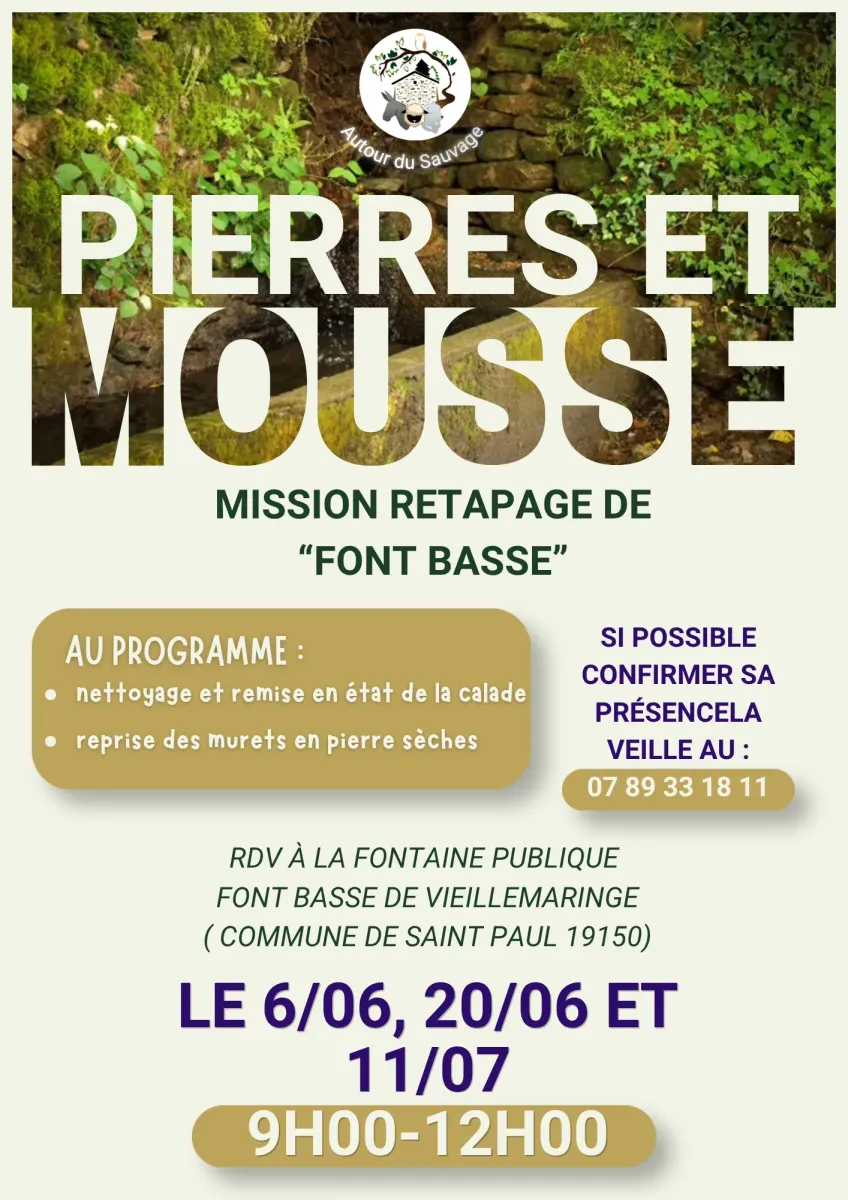 Pierres et mousse : retaper la fontaine Font basse