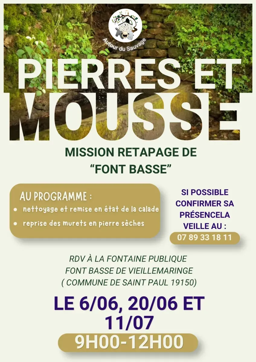 Pierres et mousse : r ... - Crédit: autour du sauvage