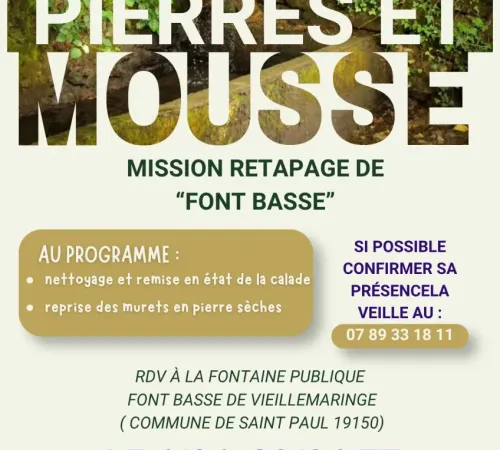 Pierres et mousse : retaper la fontaine Font basse