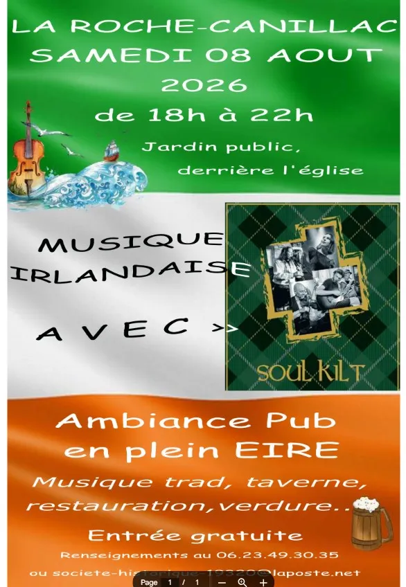 Musique traditionnell ... - Crédit: Musique Irlandaise