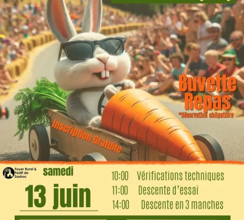 Course de caisses à savon