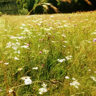 Balade-découverte "La faune et la flore " aux Tours de Carbonnières
