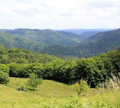 Balade-découverte à Albussac: "Nature et paysages du site de Roche de Vic"