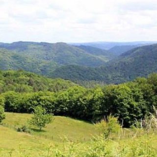 Balade-découverte à Albussac: "Nature et paysages du site de Roche de Vic"