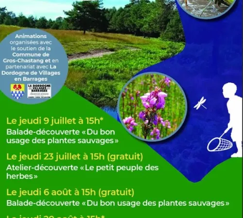 Atelier découverte "Le p'tit peuple des herbes"