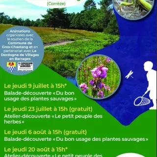 Balade découverte "Le bon usage des plantes sauvages"
