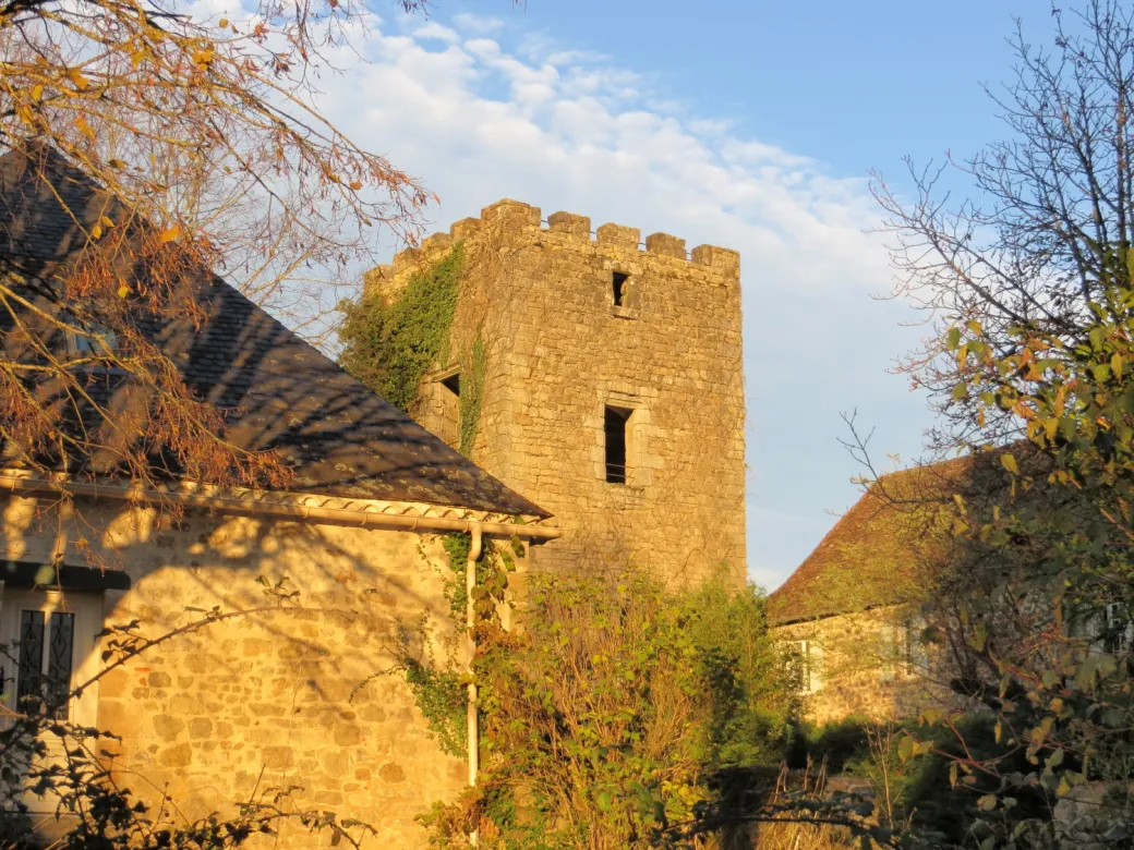 Balade secrète en Cor ... - Crédit: Office de Tourisme Vallée de la Dordogne