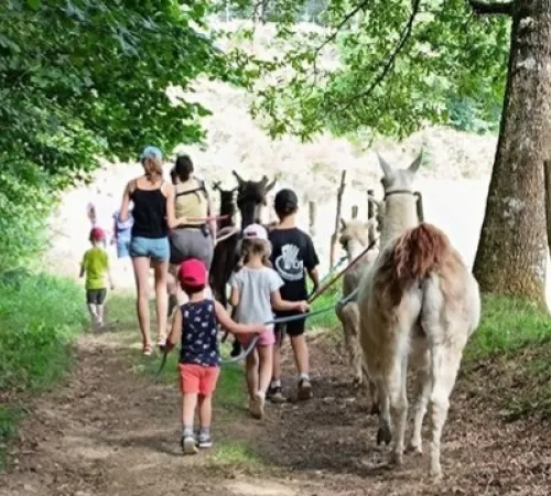 La fête de LamaZ