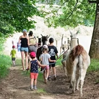 La fête de LamaZ