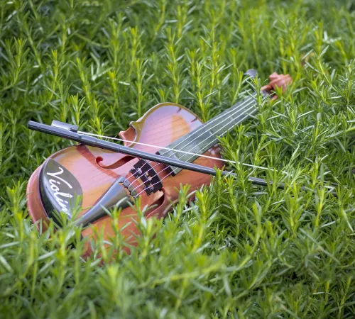 Les Amis de Ségur : Concert flûte - violon
