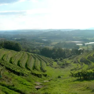 Balades secrètes en Corrèze - De Chagall à la Bontat