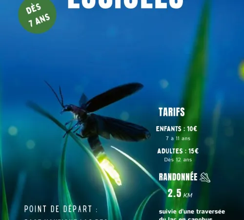 Chasse aux Lucioles