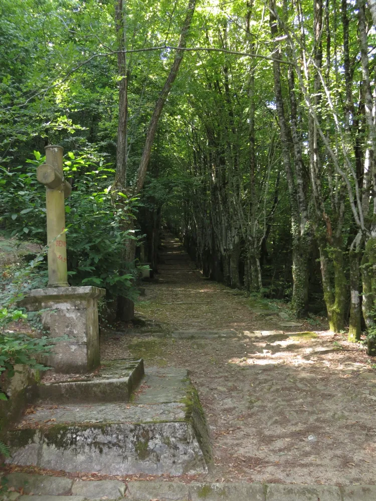 Balades secrètes en C ... - Crédit: Office de Tourisme Vallée de la Dordogne