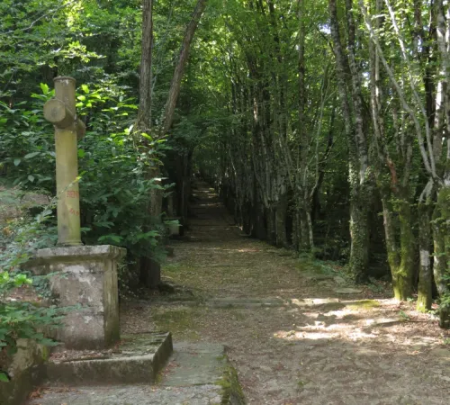 Balades secrètes en Corrèze - découverte de la Tourbière de la Bissière