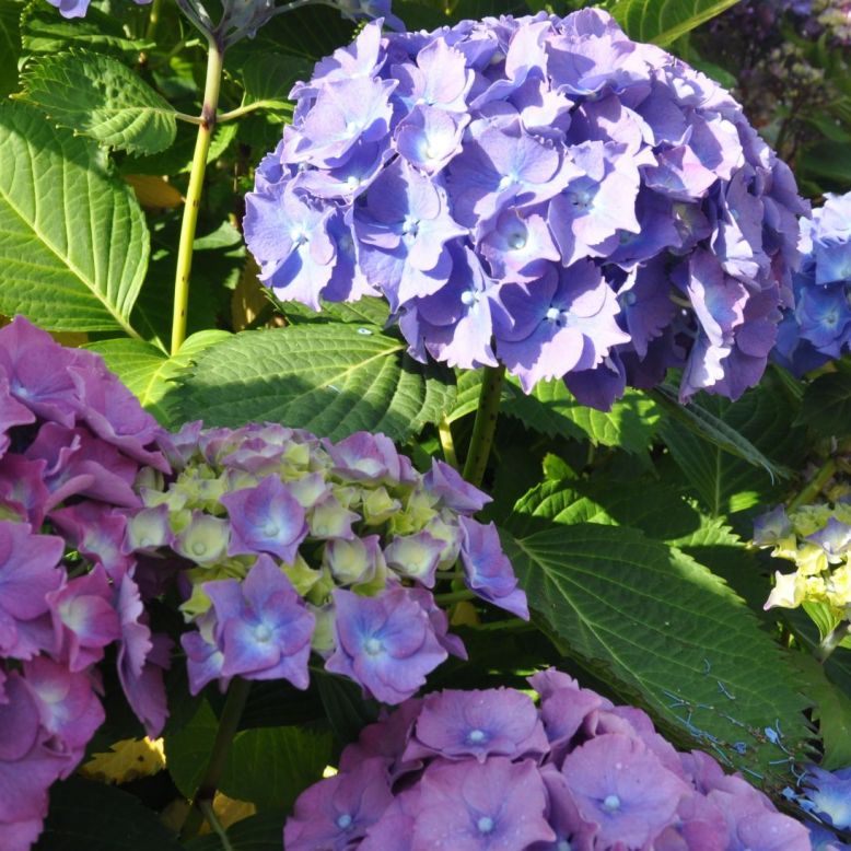 Château de Rilhac Xaintrie